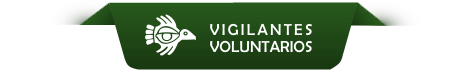 Vigilantes Voluntarios